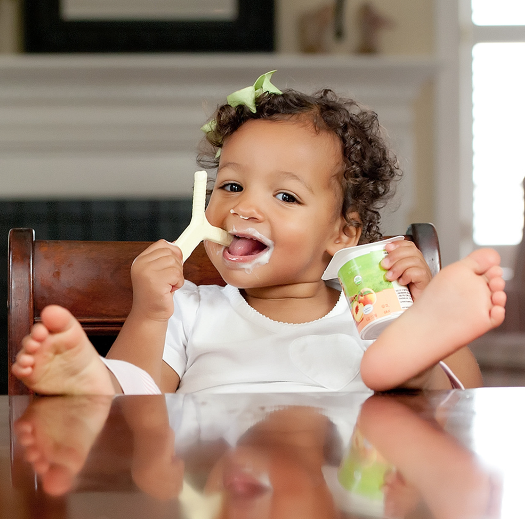 Mordedor ARK Y-Chew®